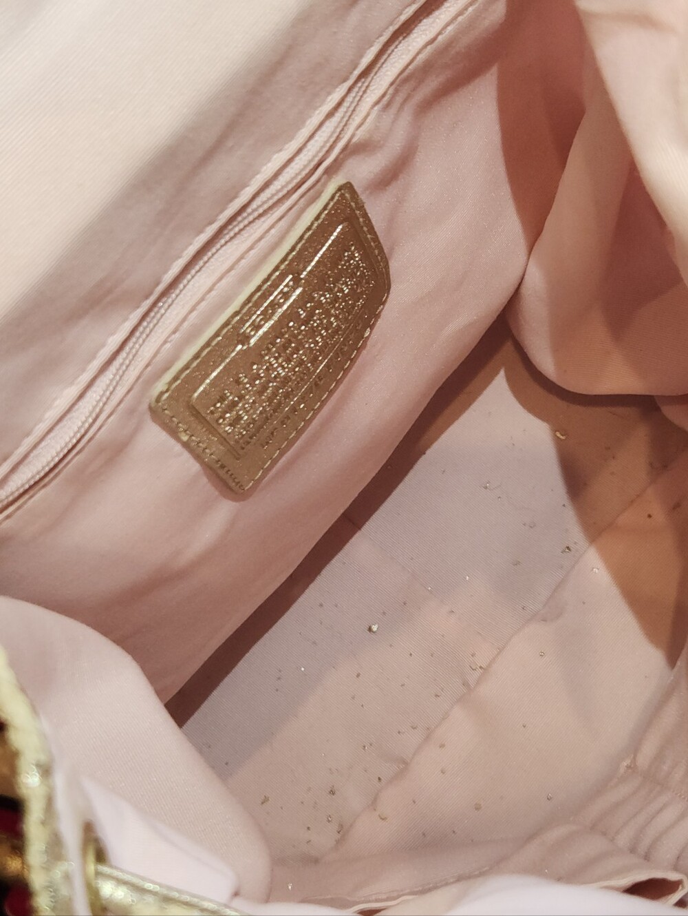 Coach Poppy Floral Backpack - Picture 11 of 16